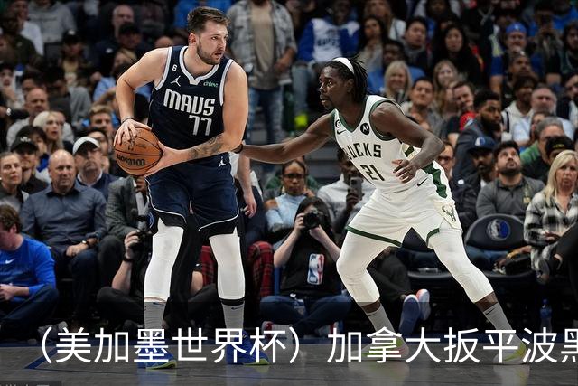 （美加墨世界杯）加拿大扳平波黑 获队史世界杯首分